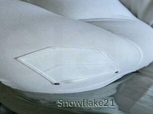 Snowflake21