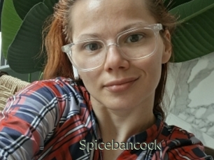 Spicebancock