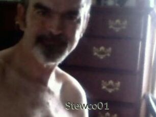 Stewco01