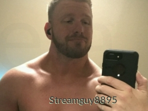 Streamguy8895