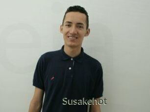 Susakehot