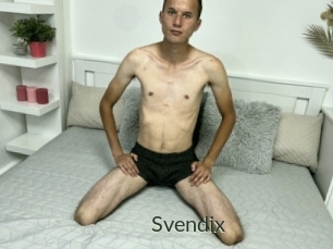 Svendix