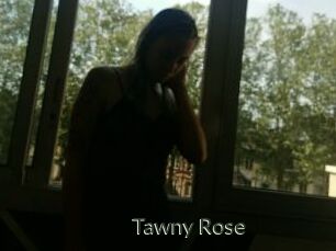 Tawny_Rose