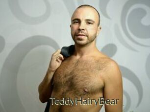 TeddyHairyBear