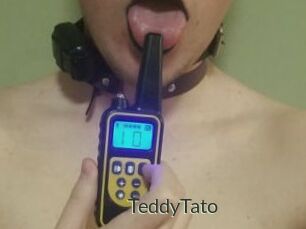 TeddyTato