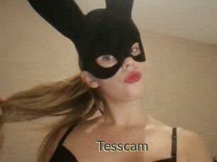 Tesscam