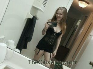 TheCatsMeowprrr