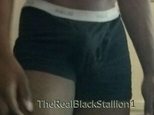 TheRealBlackStallion1