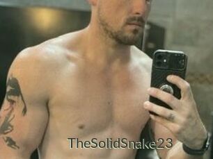 TheSolidSnake23