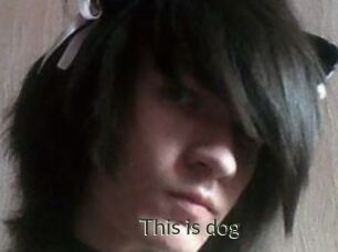 This_is_dog