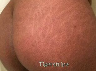 Tigerstripe