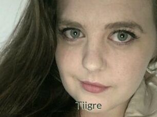 Tiigre_