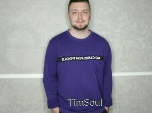 TimSoul