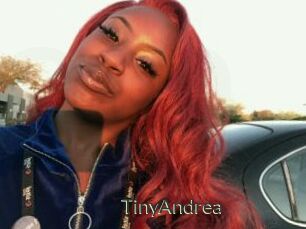 TinyAndrea