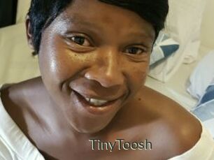 TinyToosh