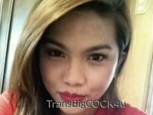 TransBigCOCK4u