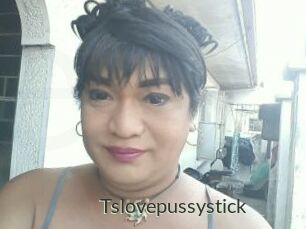 Tslovepussystick