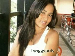 Twiggypoly