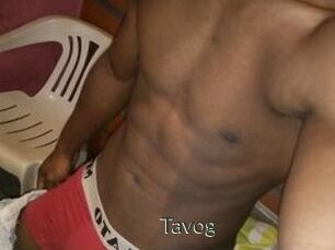 Tavog
