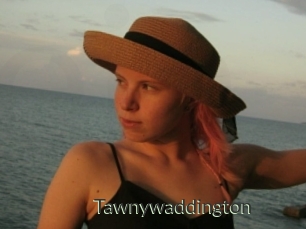 Tawnywaddington