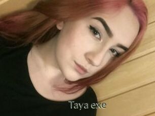 Taya_exe