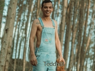 Teddhill