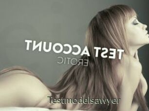 Testmodelsawyer