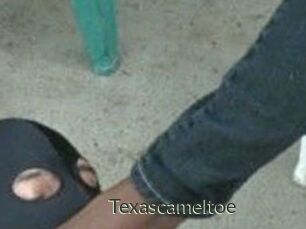 Texascameltoe