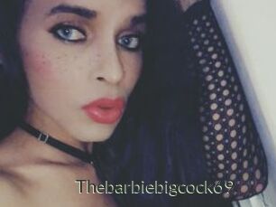 Thebarbiebigcock69