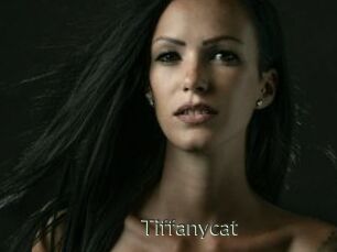 Tiffanycat