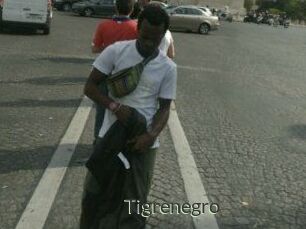 Tigrenegro