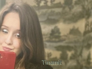 Tinamit
