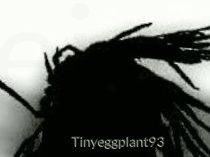 Tinyeggplant93