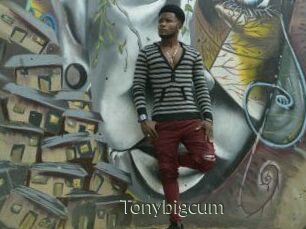 Tonybigcum