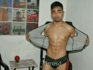 Torusd