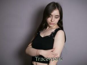 Traceypark