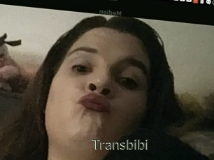 Transbibi