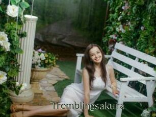 Tremblingsakura