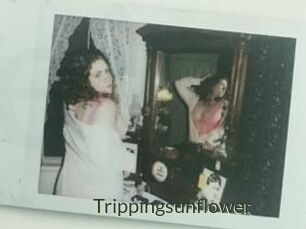 Trippingsunflower