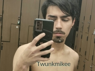 Twunkmikee