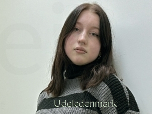 Udeledenmark