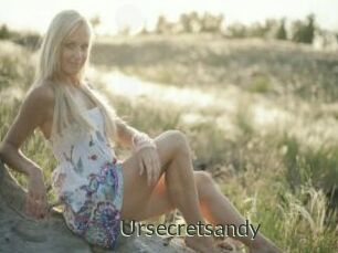 Ursecretsandy