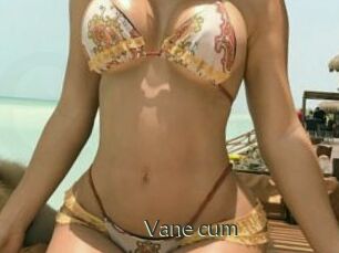 Vane_cum