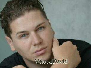 VelosaDavid
