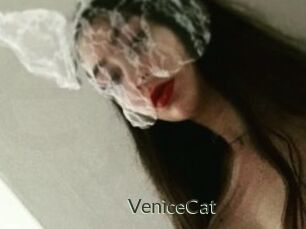 VeniceCat