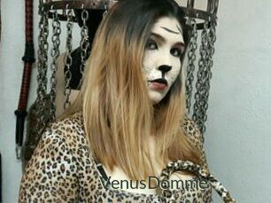 VenusDomme