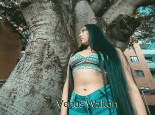 Venus_Walton