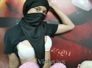 Viollet_hot