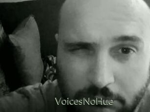 VoicesNoHue