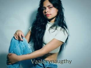 Vaalerynaugthy